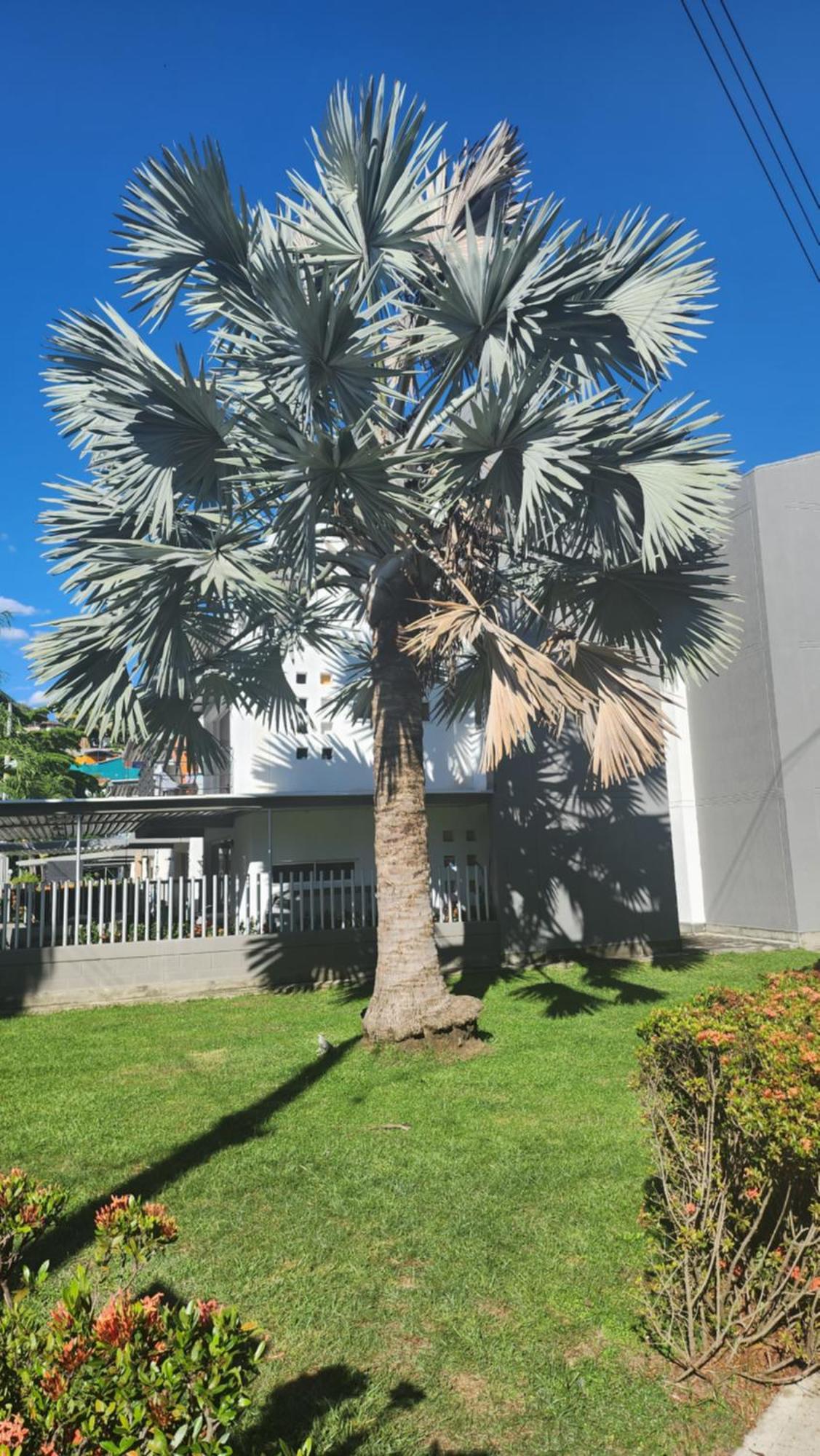 Apartasol Club Ciudadela Santa Fe - Santa Fe De Antioquia Exteriör bild
